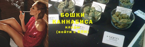 PSILOCYBIN Инта
