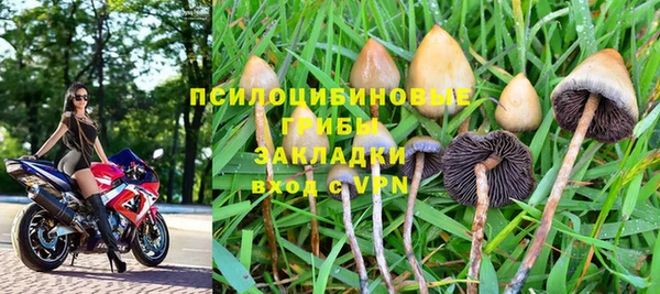 PSILOCYBIN Инта